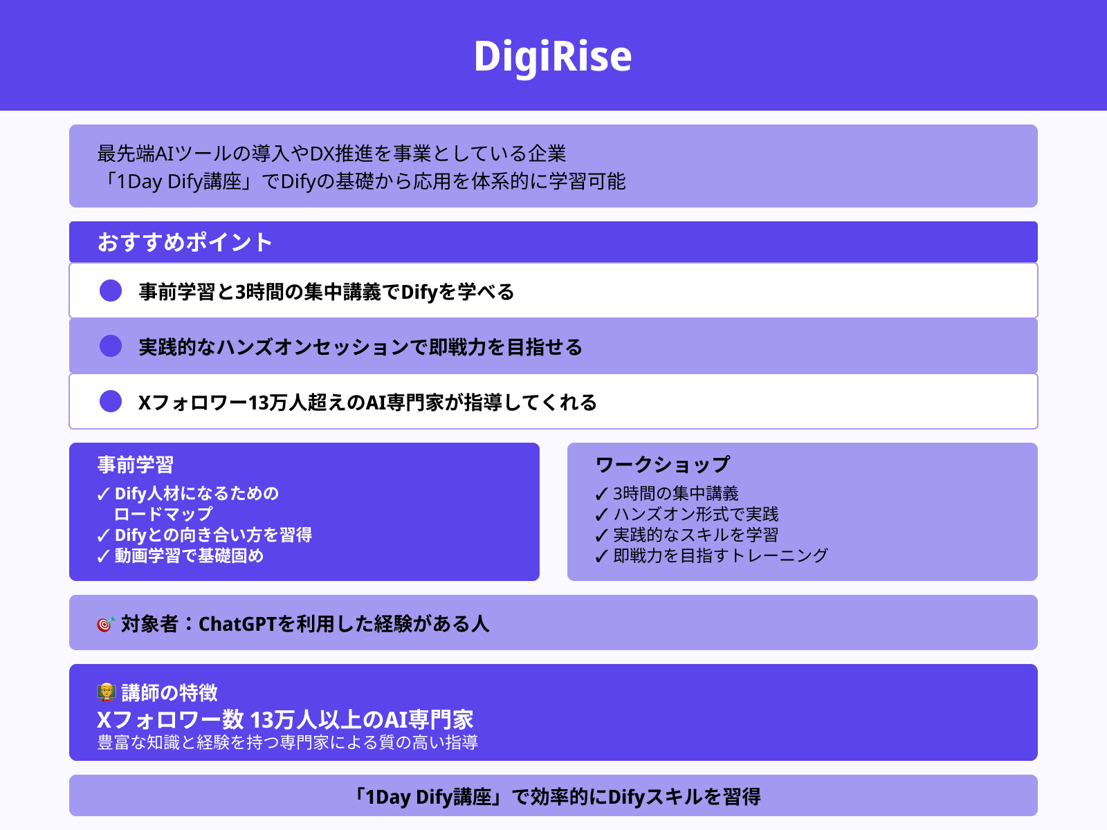 DigiRise