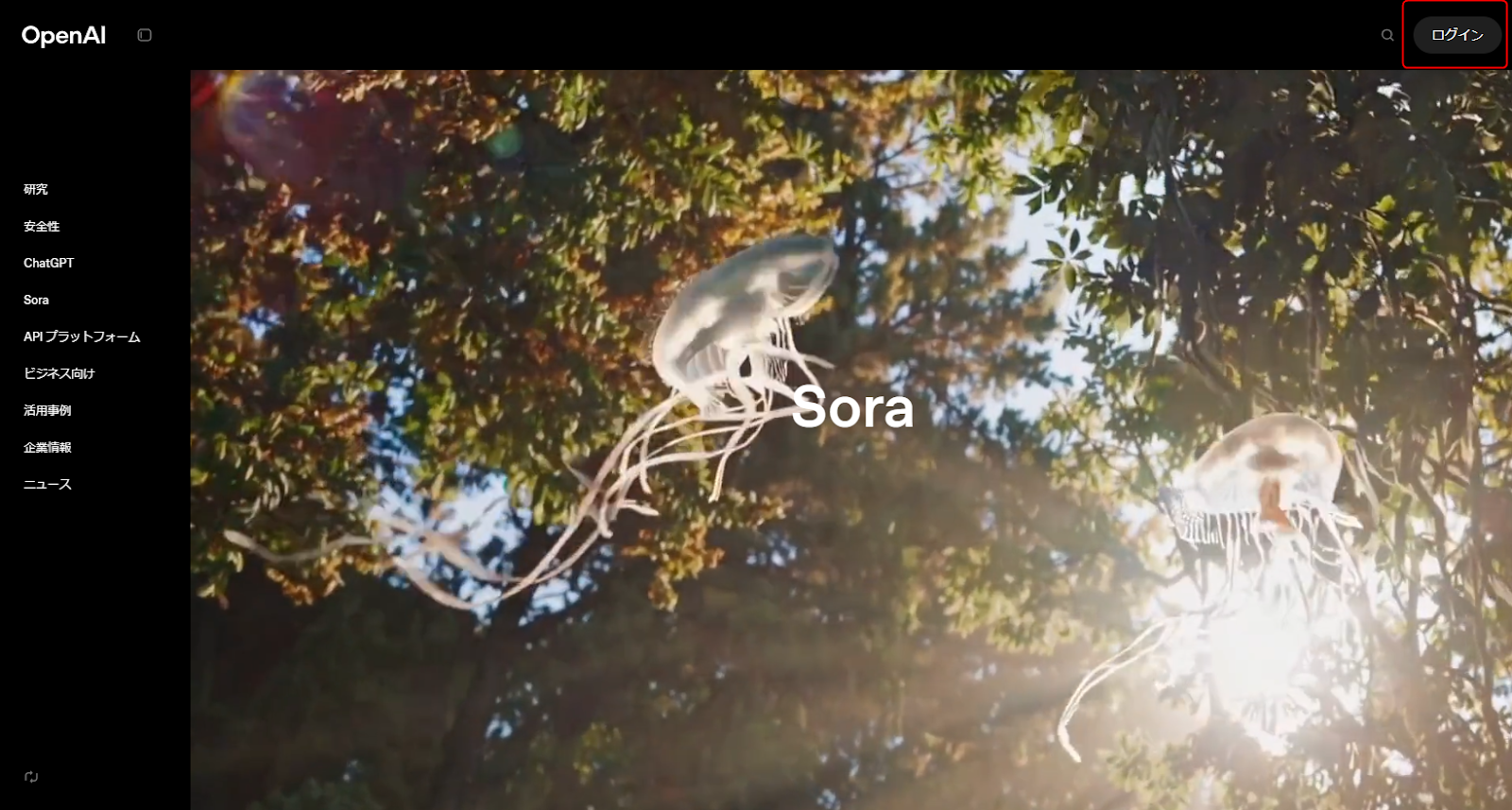 Sora