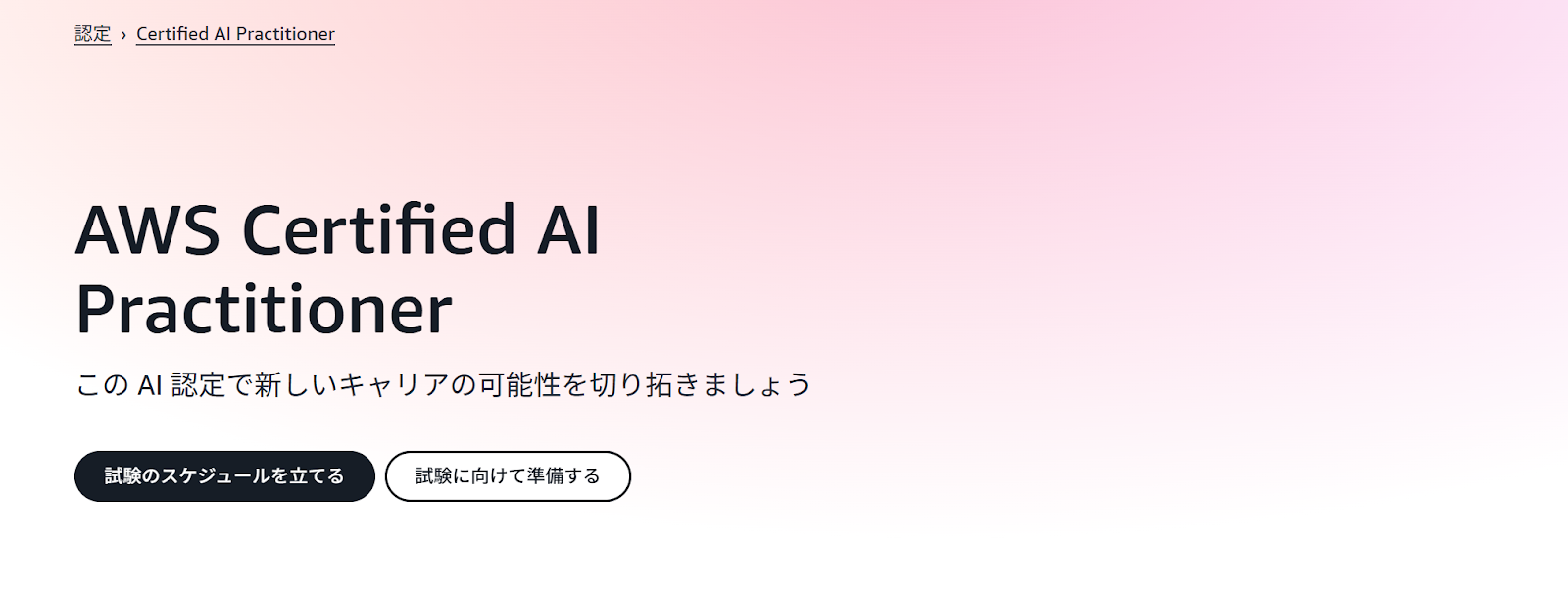 AWS Certified AI Practitioner（AIF）
