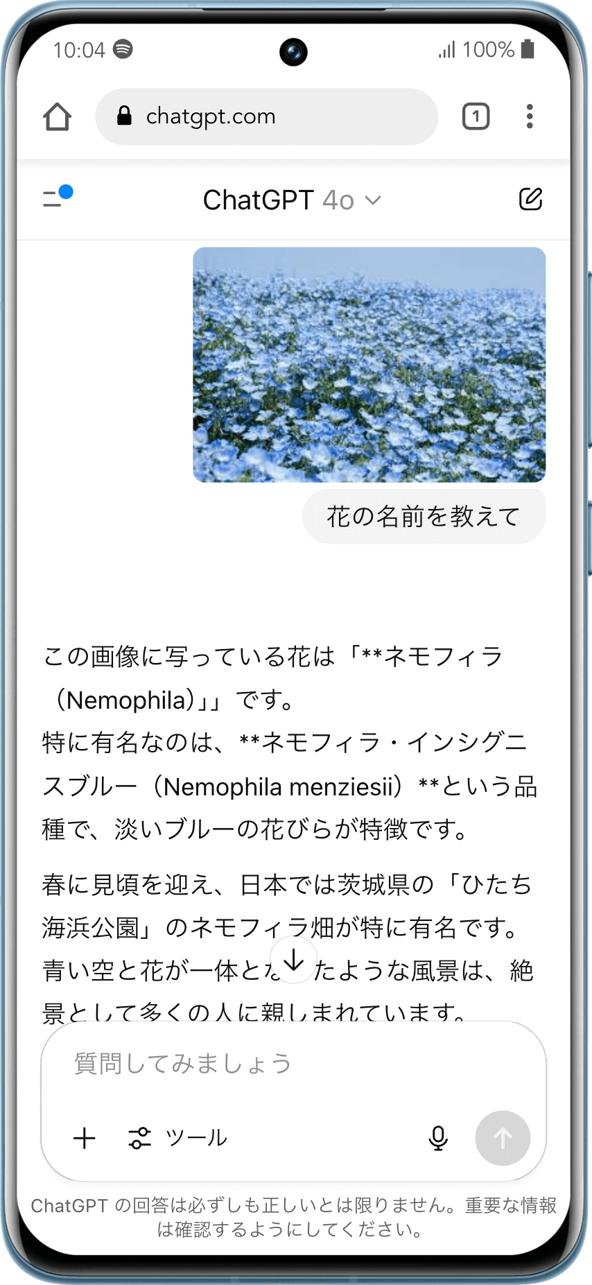 ChatGPTの使用例(疑問の解決)